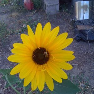 Meet your Posher, Jared